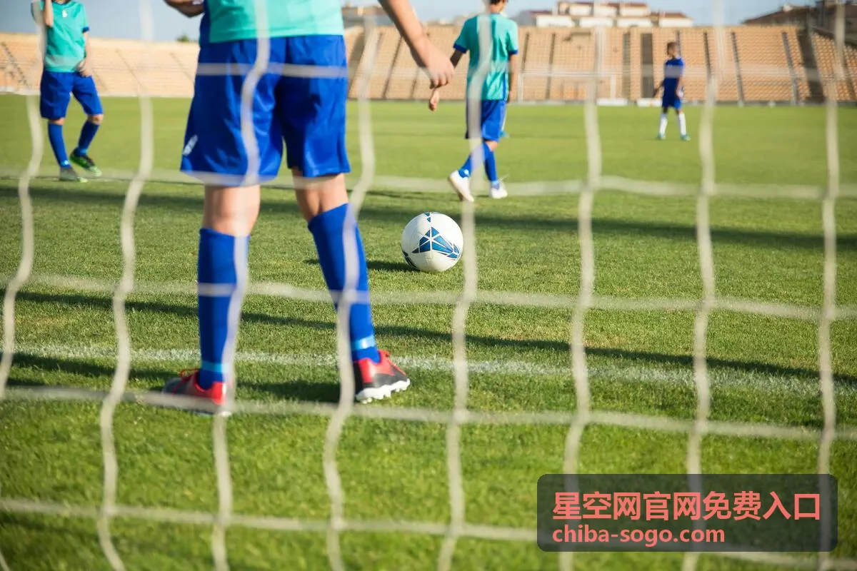 星空网官网免费入口加载缓慢处理封面