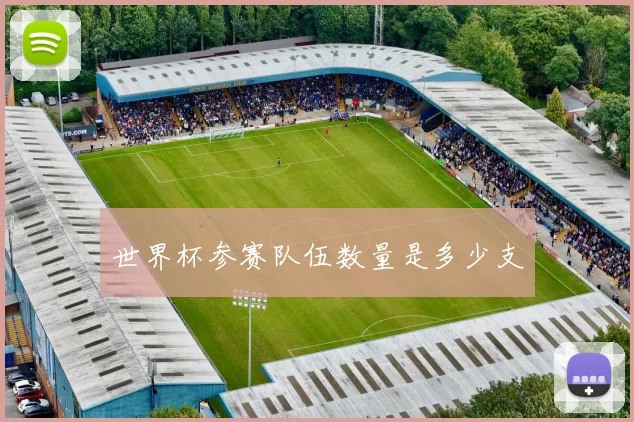 世界杯参赛队伍数量是多少支