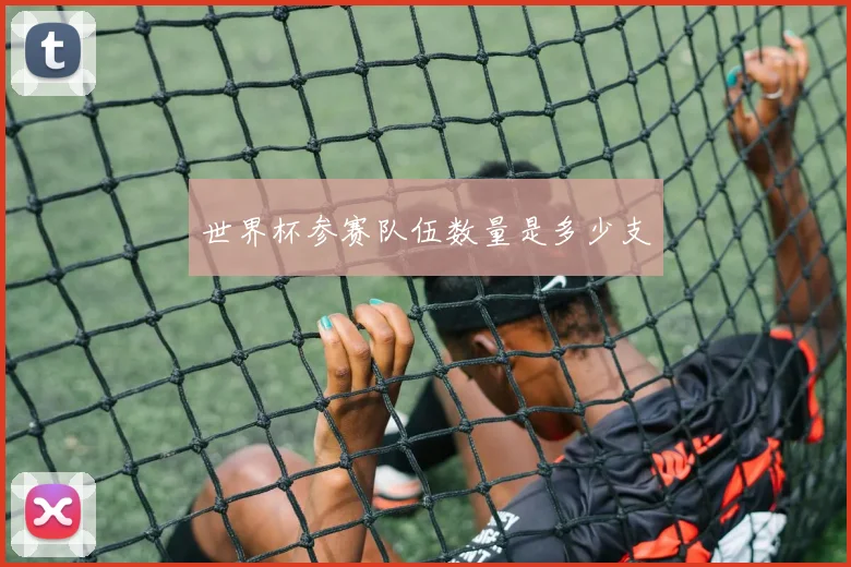 世界杯参赛队伍数量是多少支