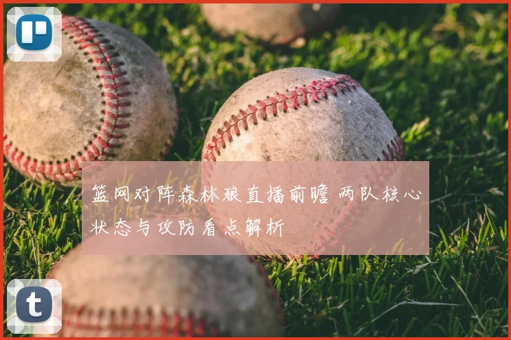 篮网对阵森林狼直播前瞻 两队核心状态与攻防看点解析
