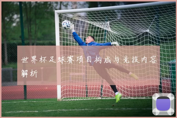 世界杯足球赛项目构成与竞技内容解析