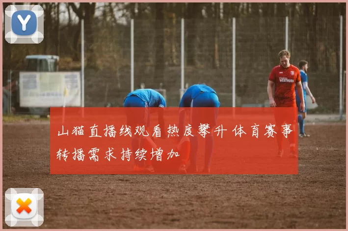 山猫直播线观看热度攀升 体育赛事转播需求持续增加