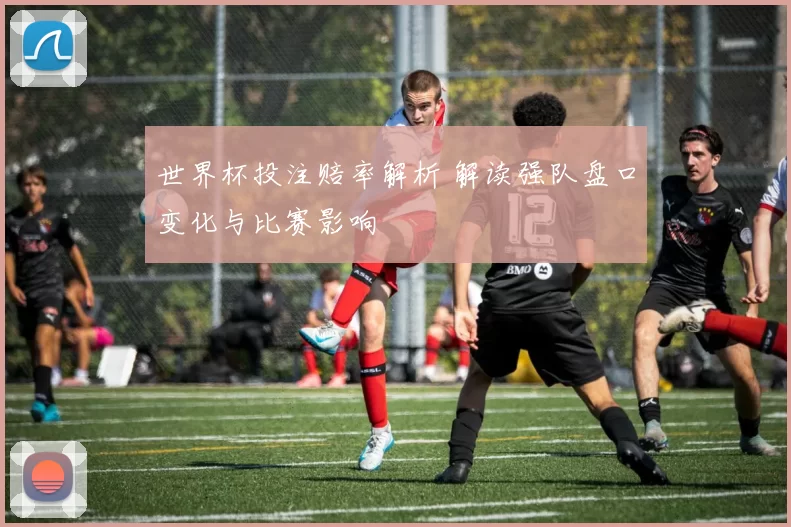世界杯投注赔率解析 解读强队盘口变化与比赛影响